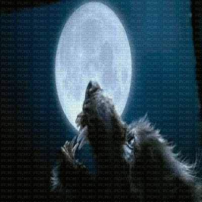 howling wolf animated bg - Δωρεάν κινούμενο GIF