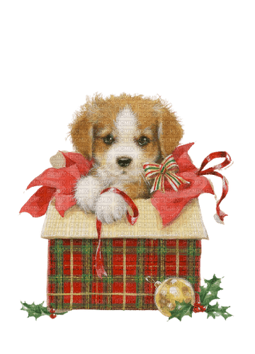 kikkapink dog vintage christmas - Free PNG