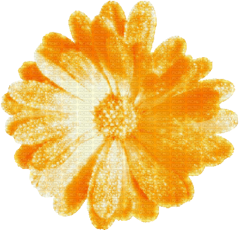 Flower.Orange.Animated - KittyKatLuv65 - Besplatni animirani GIF