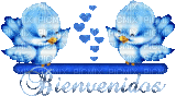 bienvenidos - Δωρεάν κινούμενο GIF