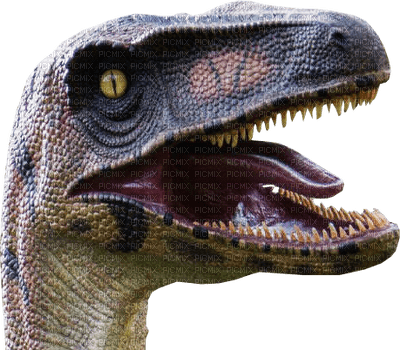 dinosaur bp - zadarmo png