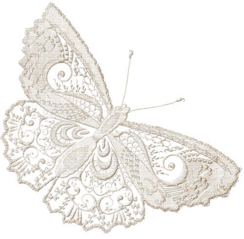butterfly motif Bb2 - png gratuito