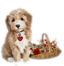 vintage dog chien 🐶 - PNG gratuit