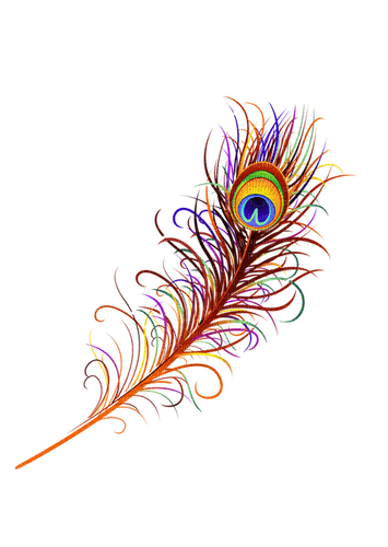 Peacock Feather - png ฟรี