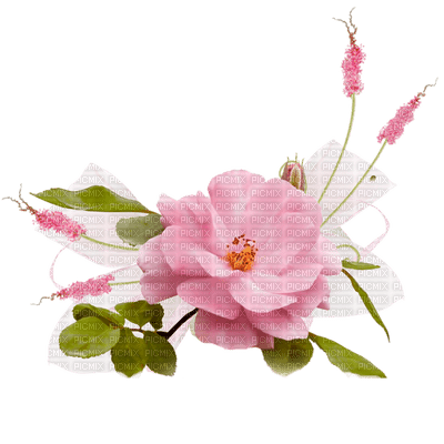 pink flower - ücretsiz png