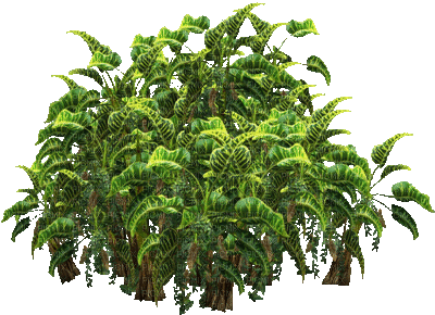 tree arbre baum  jungle spring printemps   garden jardin tube deco summer ete forest plant - Бесплатни анимирани ГИФ