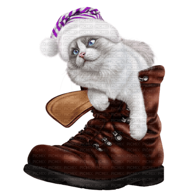 Kaz_Creations Cat Kitten In Boot Colours - δωρεάν png