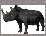 rhino - GIF animado gratis