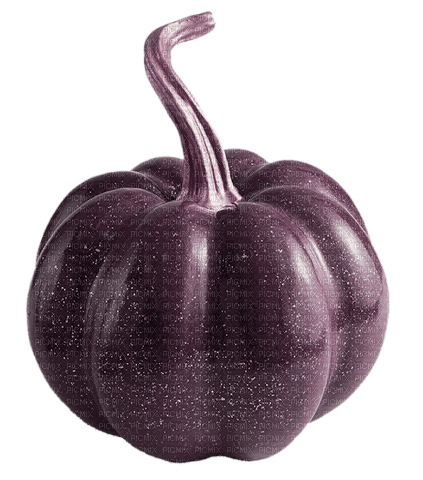 purple pumpkin Bb2 - фрее пнг