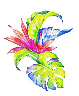 soave deco flowers animated tropical  branch - 免费动画 GIF