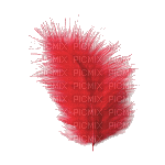 czerwone pióro - Ücretsiz animasyonlu GIF