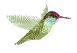 vogel - Nemokamas animacinis gif