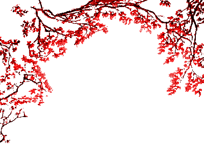 red leaves border autumn gif rouge feuilles bordure automne - 免费动画 GIF