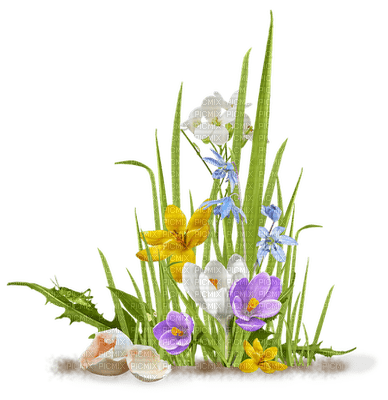 kukka, flower, fleur - zadarmo png