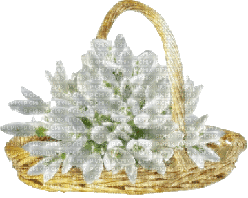 snowdrops basket - 無料のアニメーション GIF
