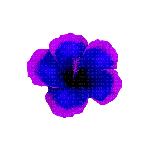 Tropical.Flower.Blue.Purple - png grátis