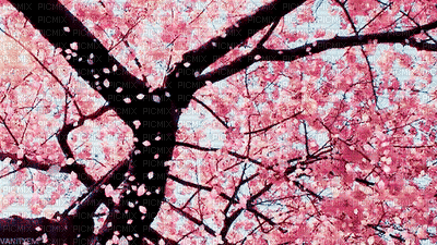Árvore - GIF animado grátis