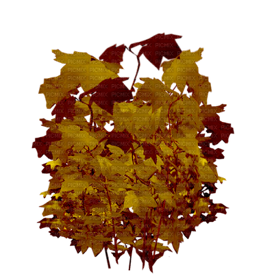 autumn bush - бесплатно png