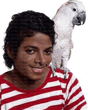 Michael Jackson bp - δωρεάν png