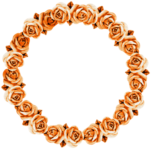 Roses.Circle.Frame.Orange - nemokama png