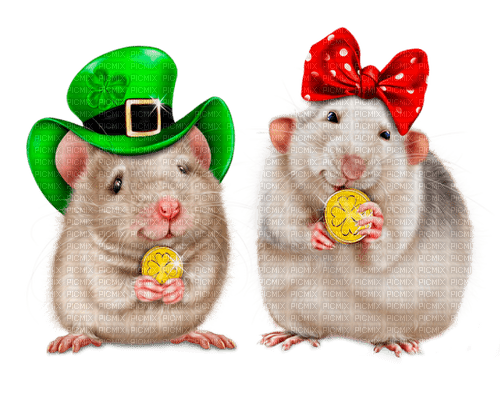 st. Patrick mouse  by nataliplus - zdarma png