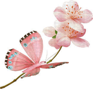 pink-butterfly and flower--fjäril-blomma-rosa-minou52 - 免费PNG
