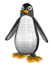 pinguin - 免费动画 GIF