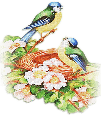 soave deco spring  bird flowers branch blue green - PNG gratuit