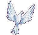 Dove - Darmowy animowany GIF