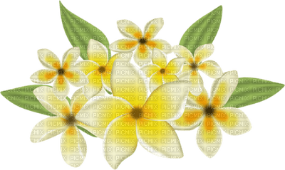 Kaz_Creations Deco Flowers Colours - 免费PNG