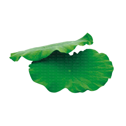 Lotus leaf - δωρεάν png