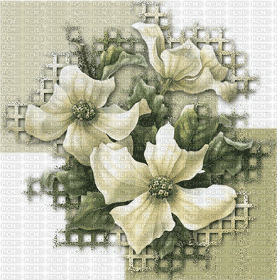 flores - Besplatni animirani GIF