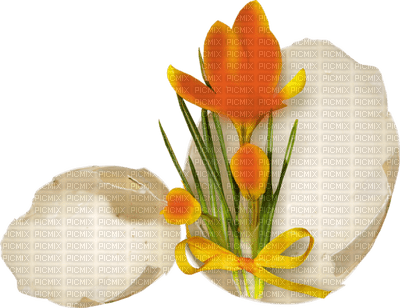 fleur orange. - PNG gratuit