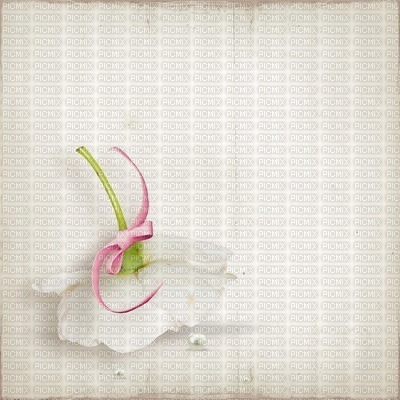 Background White Flower - Bogusia - бесплатно png