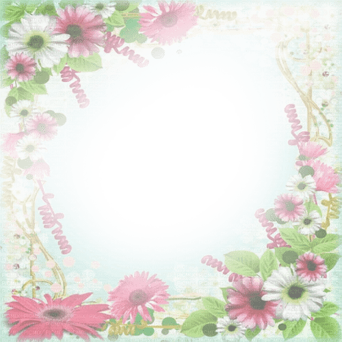 flower frame - png grátis