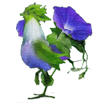 flowers gif katrin - Darmowy animowany GIF