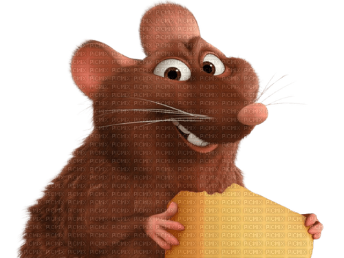 mouse maus mice souris animal - PNG gratuit