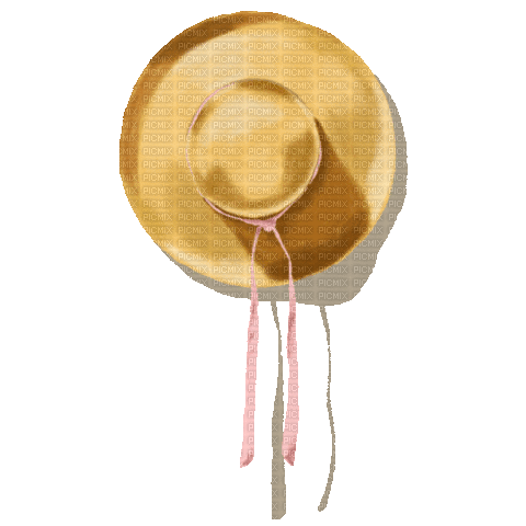 Hat.Chapeau.Summer.Ètè.Victoriabea - Free animated GIF