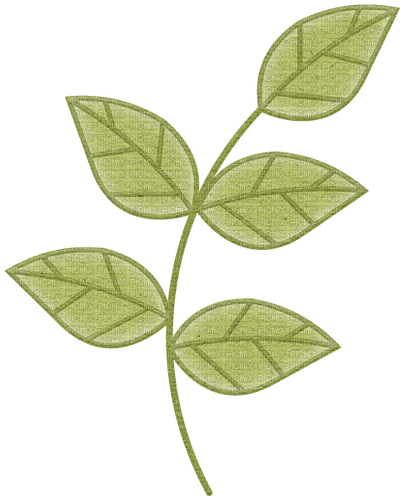 Leaf Pattern green - PNG gratuit