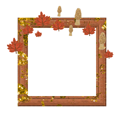 Small Orange Frame - Bezmaksas animēts GIF
