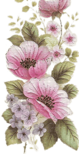 Blumen, rosa - бесплатно png