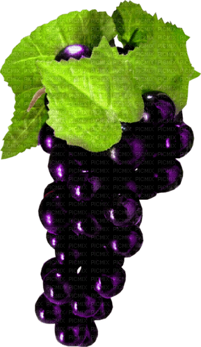 autumn grape kikkapink deco png - png gratuito