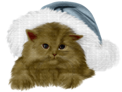 Kaz_Creations Cats Cat Kittens Kitten  Christmas - besplatni png