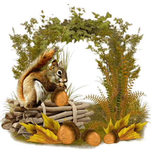 Herbst, Eichhörnchen, Autumn - PNG gratuit