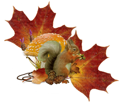 patymirabelle automne - 免费PNG
