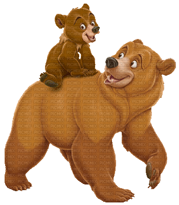 Bär ours bear - Animovaný GIF zadarmo
