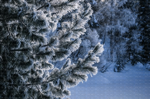 winter - Darmowy animowany GIF
