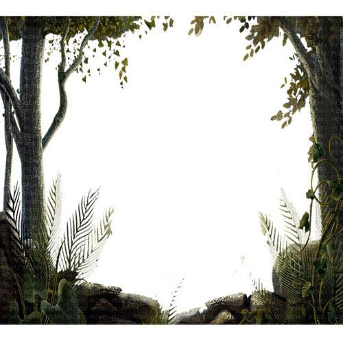 trees - Free PNG