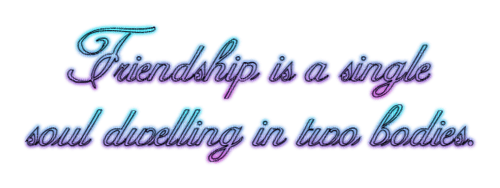 Friendship is a single soul ✯yizi93✯ - PNG gratuit