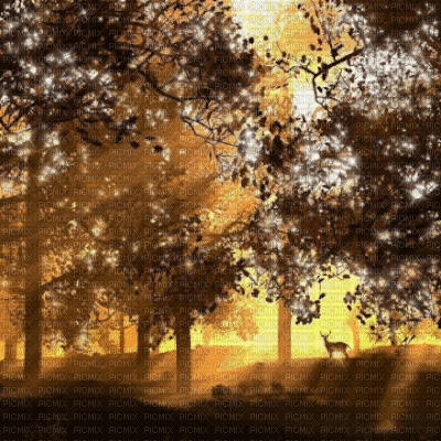 Brown Forest Background - GIF animasi gratis